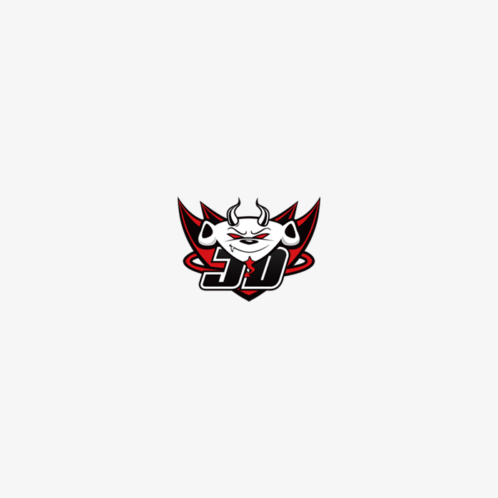 JD战队logo