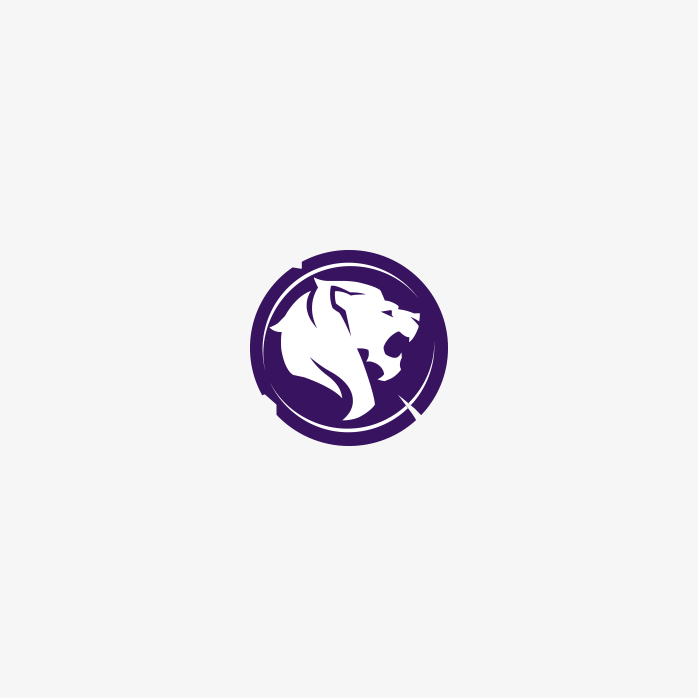 守望先锋战队logo