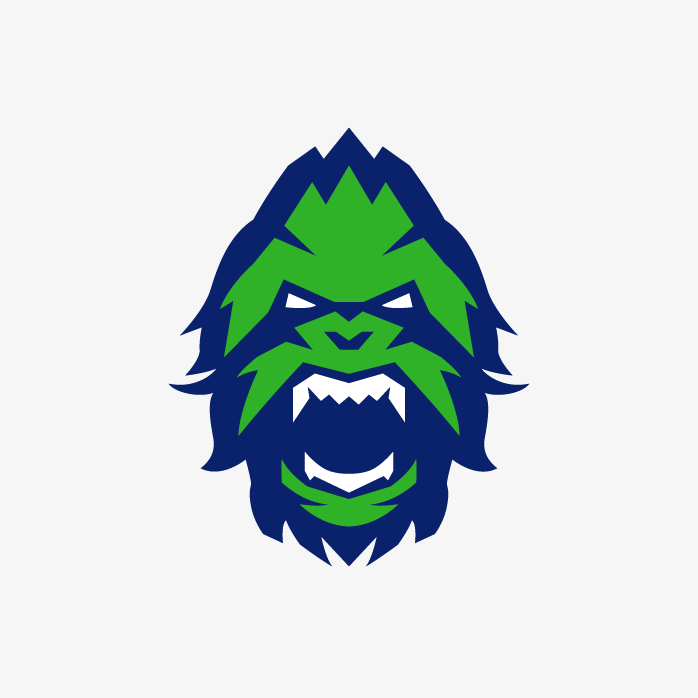 守望先锋战队logo