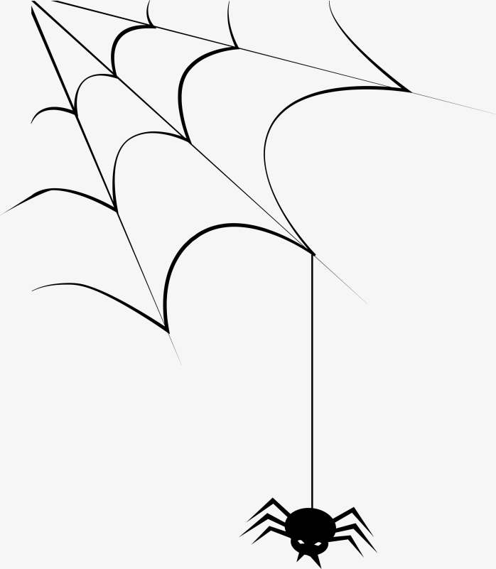 蜘蛛网剪影