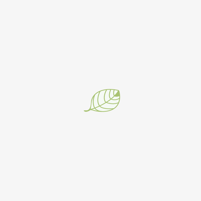 矢量叶子