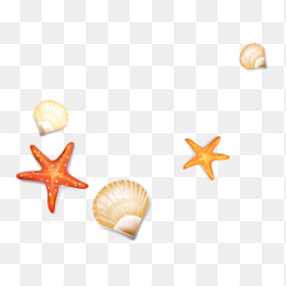 夏天海星元素