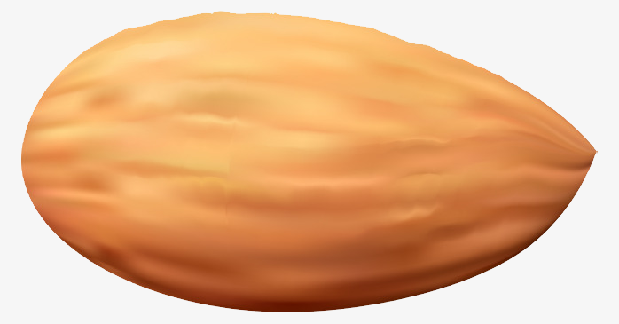 坚果