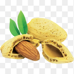 坚果