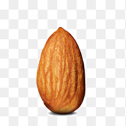 坚果