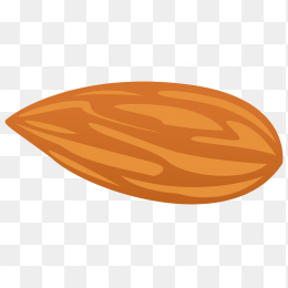 坚果