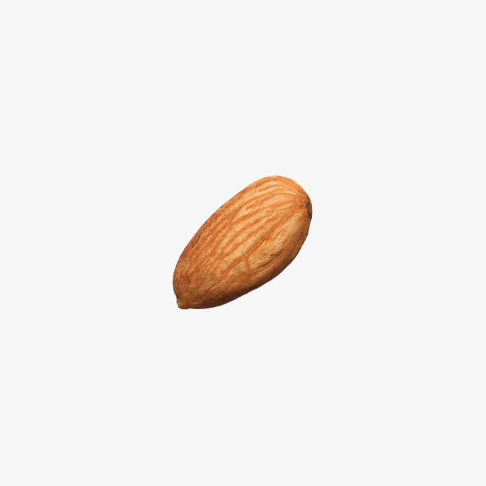 坚果
