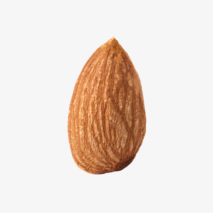 坚果