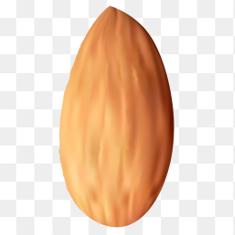 坚果