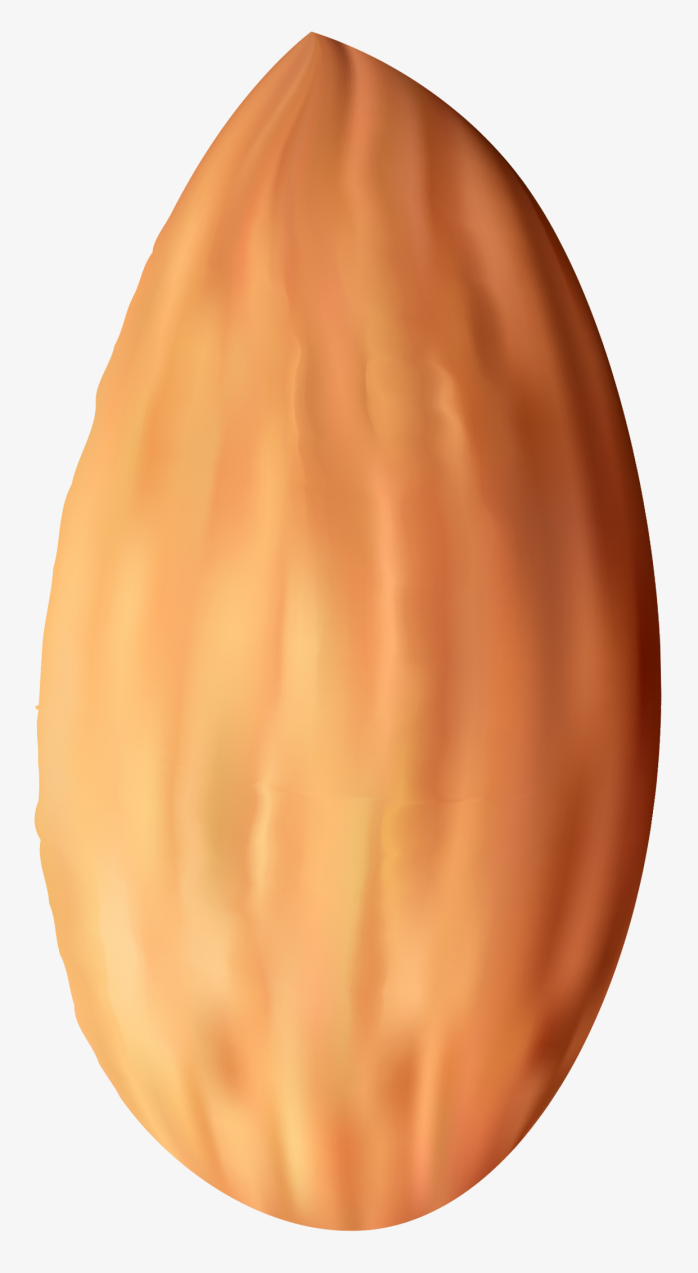 坚果