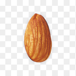 坚果