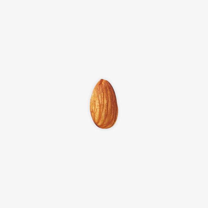 坚果