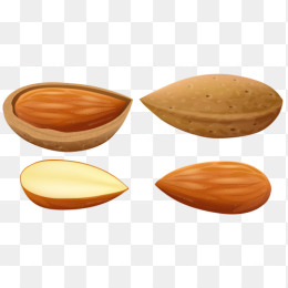 坚果