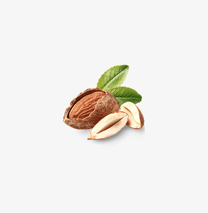 坚果