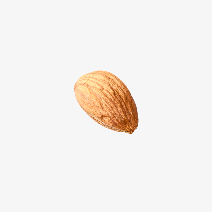 坚果