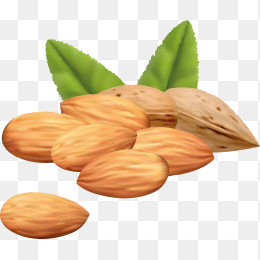 坚果