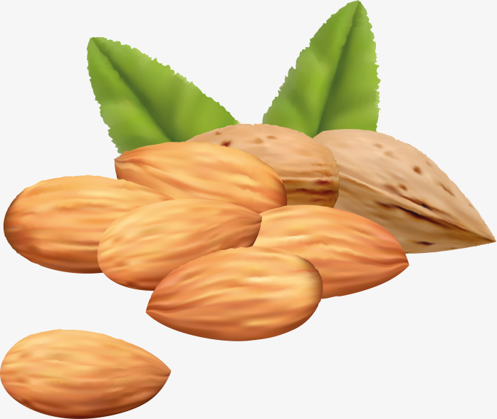 坚果