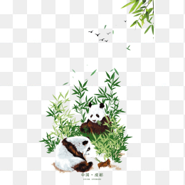 熊猫