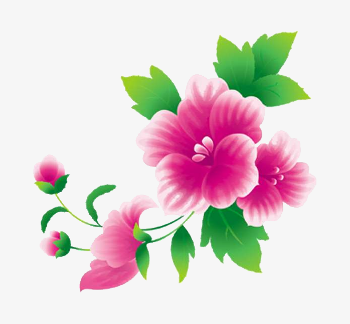 插画