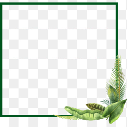 绿植文艺边框