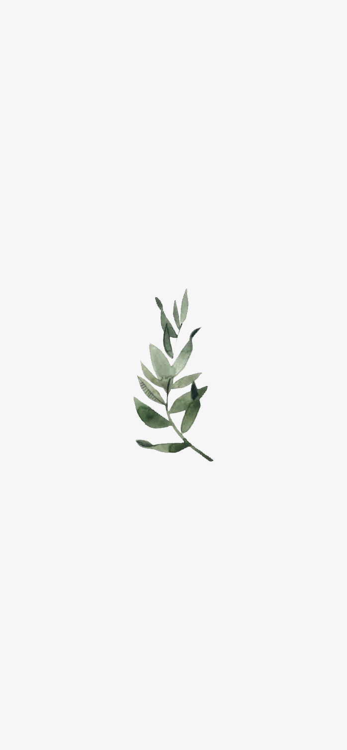  手绘绿植