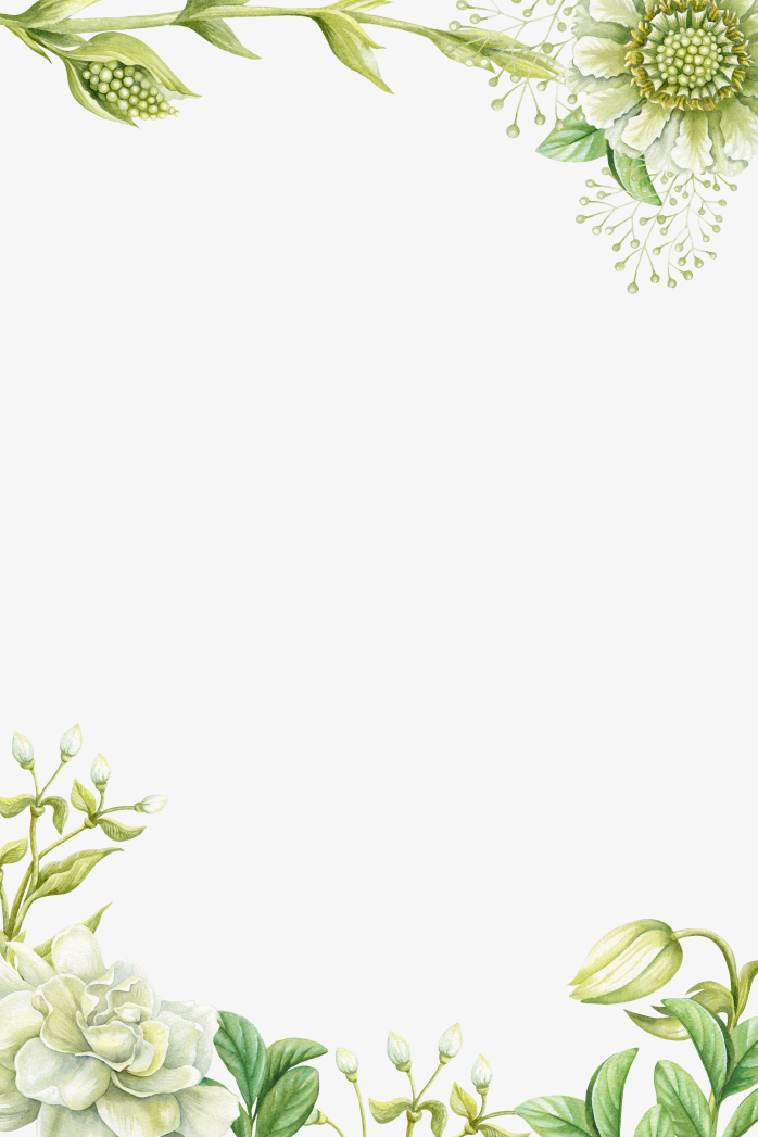 花朵边框