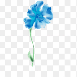 蓝花