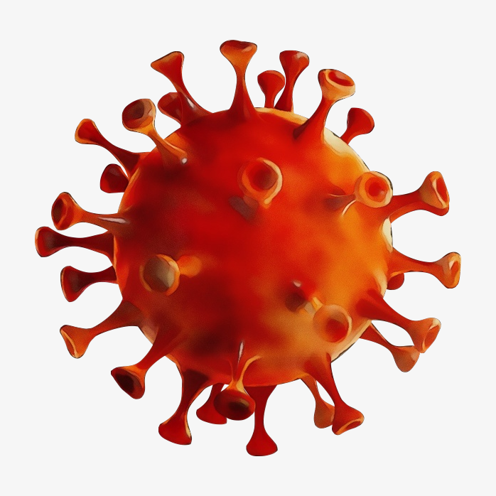 新型冠状病毒