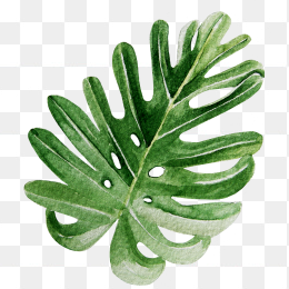 绿色手绘树叶植物