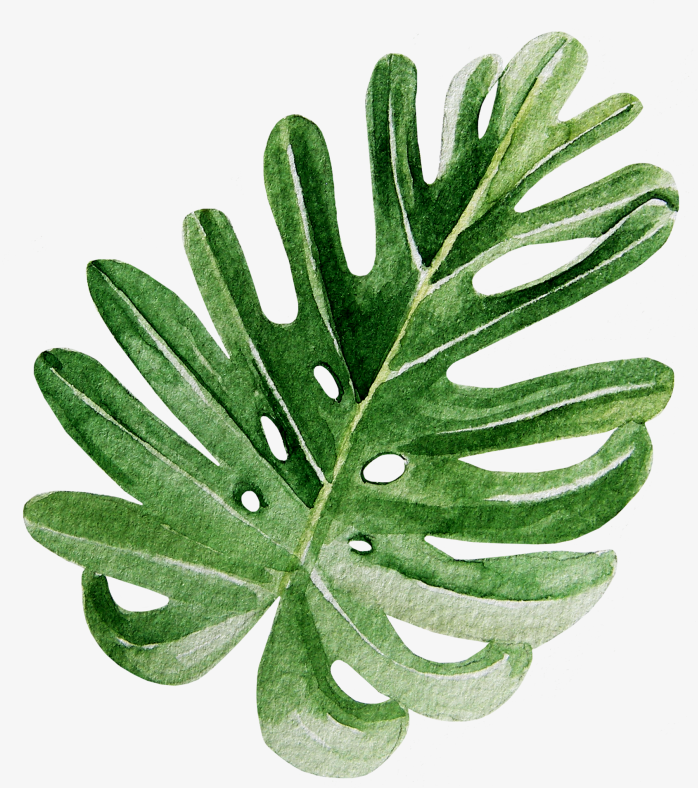 绿色手绘树叶植物