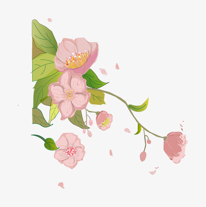 山茶花
