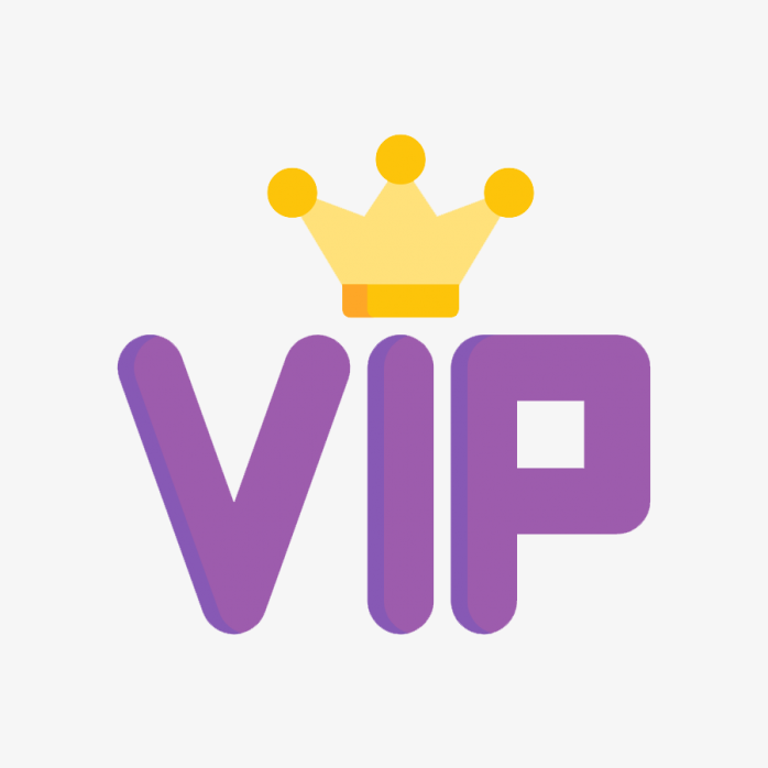 彩色vip图标