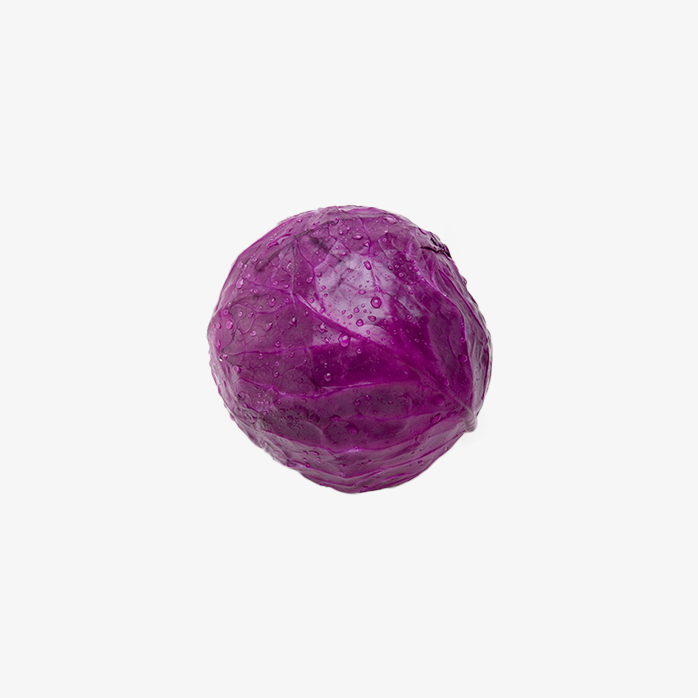 包心菜