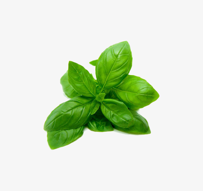高清波菜