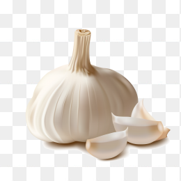 手绘大蒜素材