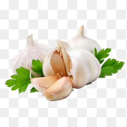 高清大蒜