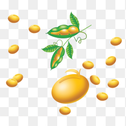 手绘黄豆
