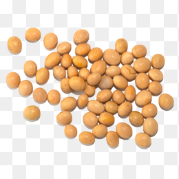 黄豆