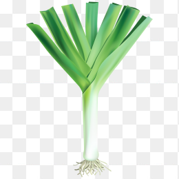大蒜