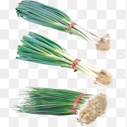 高清韭菜合集
