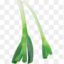 大蒜