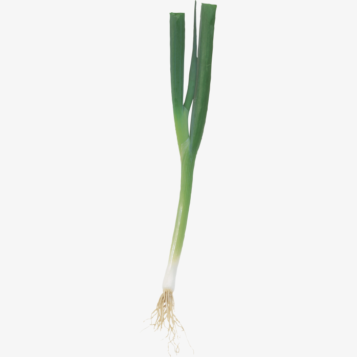 大蒜