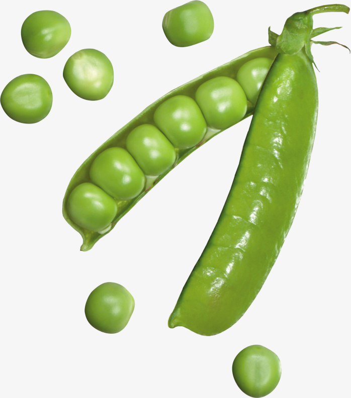 高清小豌豆