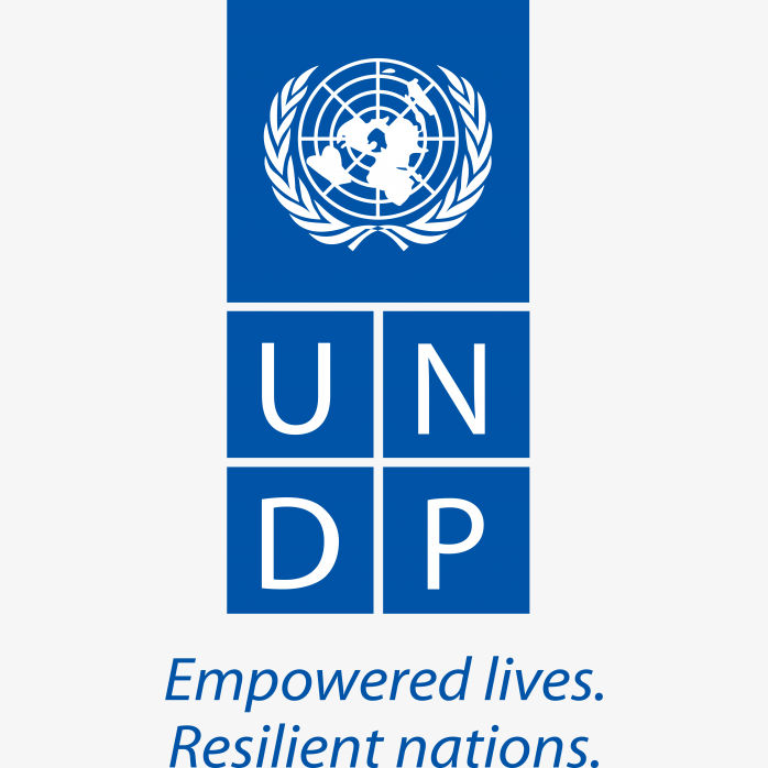 UNDP联合国开发计划署logo