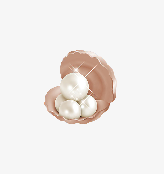 闪亮珍珠贝壳