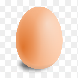 鸡蛋