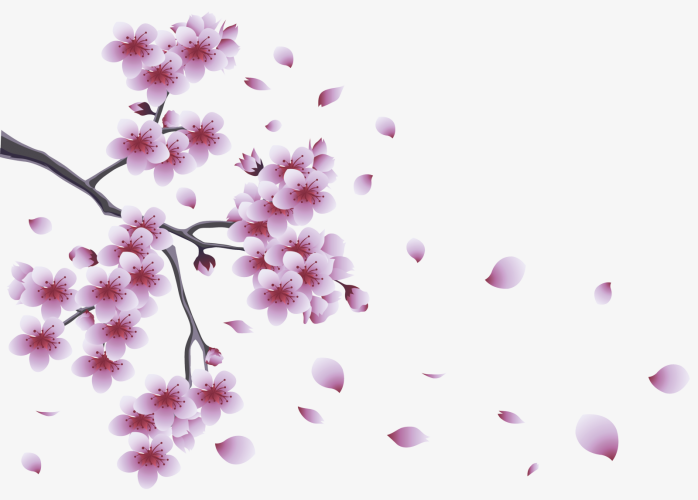 手绘花朵