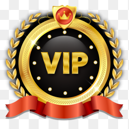 VIP图标