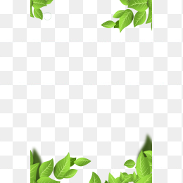 叶子边框