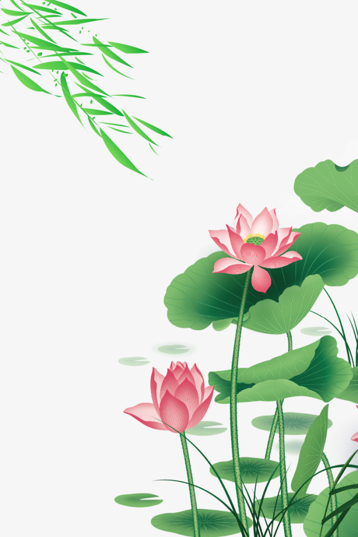 手绘荷花柳条